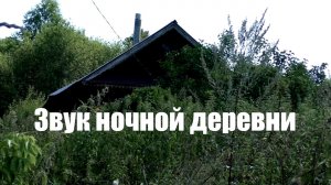Звук ночной деревни