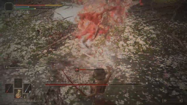 Let Me Solo Her Build Vs. Malenia