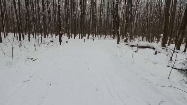 Трасса соревнований "Зимняя Звезда Черноземья - 2019" смотреть онлайн