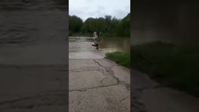 Река Нара. Видео от чеховских таксистов смотреть онлайн