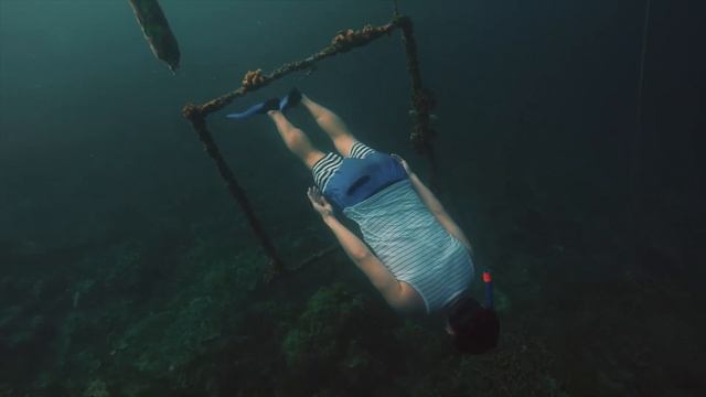 Intro to Freediving with the resident sea turtle of Mabini. Olympus TG6 underwater video shots смотреть онлайн