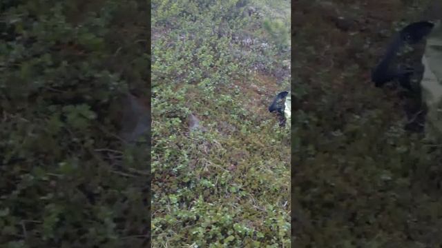Вершина увадопада смотреть онлайн