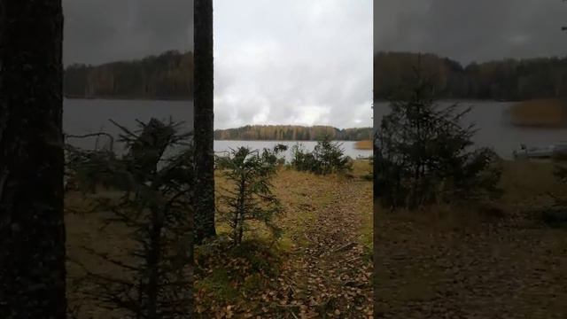 Красоты озера Вельё смотреть онлайн