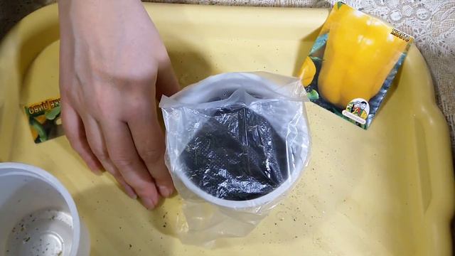 Рассада без заморочек. Супер простой способ выращивания рассады смотреть онлайн