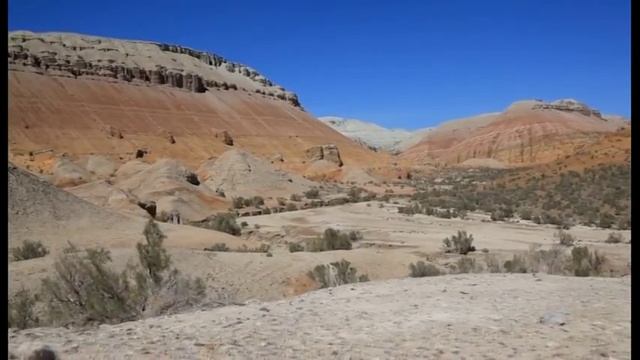 Дикая природа Казахстана. Проект. смотреть онлайн