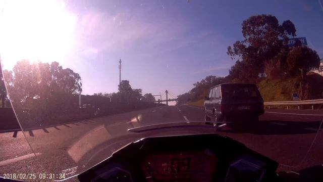 Animal e Spitfire смотреть онлайн