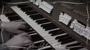 Иоганн Себастьян Бах - «Страсти по Иоанну» (BWV.245). Орган - Ксавер Варнус (Xaver Varnus).