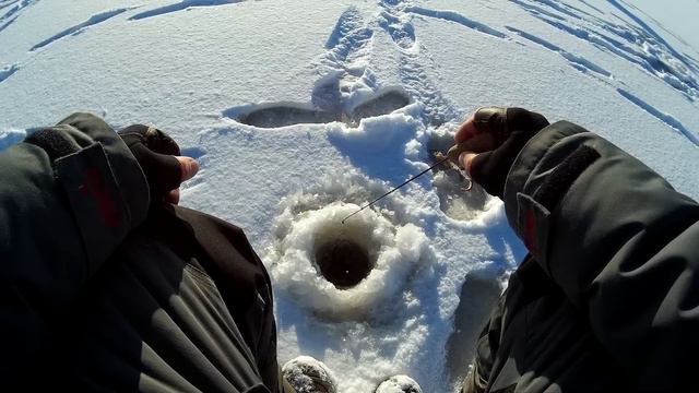 Ловля окуня на блесну зимой. Сезон 2016-2017 смотреть онлайн