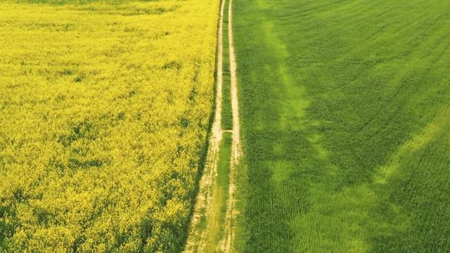 🌞ВЕСЕННИЕ КРАСКИ В ЯРКИХ ЦВЕТАХ🌼🌷🌹🌺(4K Ultra HD) + Расслабляющая музыка смотреть онлайн