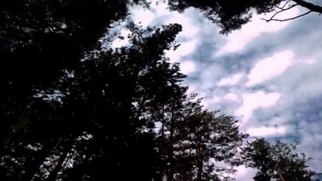 САМВЕЛ АДМЯН СЕСТРА ИРА ПРИВЕЗЛА МАТЕРИ ПОЗОРНЫЕ ПРОДУКТЫ ФУ