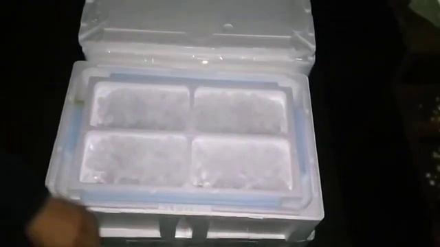 Начало инкубации оплодотворённой икры радужной Форели! смотреть онлайн