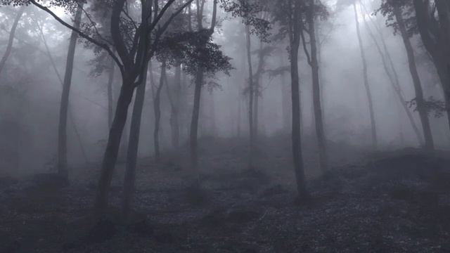 L'enigma di una giornata fl, pf, (2012) 7'20" смотреть онлайн
