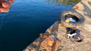 ?Сарган. НА КАЖДОМ ЗАБРОСЕ! Морская Рыбалка в Крыму на Пилькер.