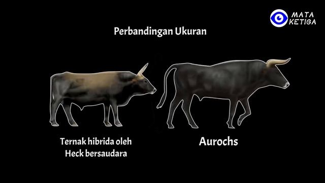 Sebelum Anunnaki Menciptakan Manusia, Mereka telah Menciptakan Makhluk ini... смотреть онлайн
