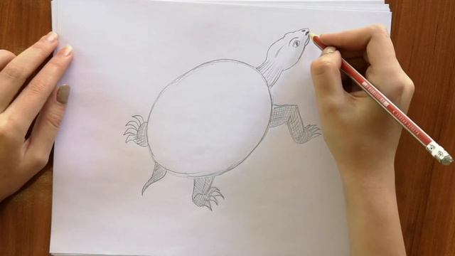 КАК НАРИСОВАТЬ ЧЕРЕПАХУ!/HOW TO DRAW TURTLE EASY!!\ смотреть онлайн