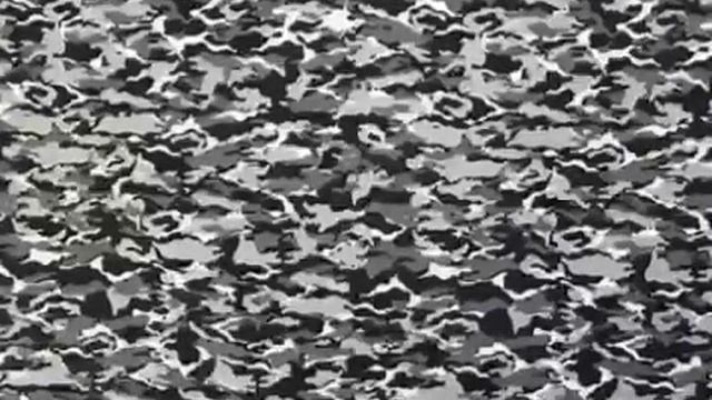 COMA TANGO смотреть онлайн