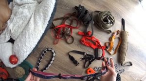 Амуниция для собак. Ошейники, поводки и др.