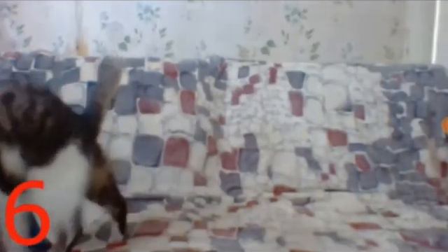 Моё самое самое самое самое самое самое любимое видео смотреть онлайн