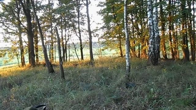 Обзор китайской складной сапёрной лопаты смотреть онлайн