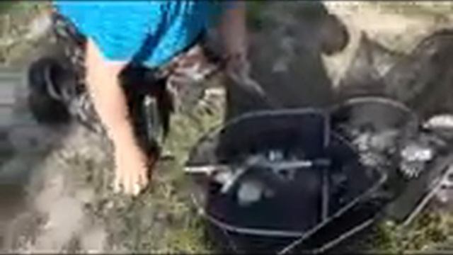 ловля на поплавочную удочку в Дону, весной смотреть онлайн