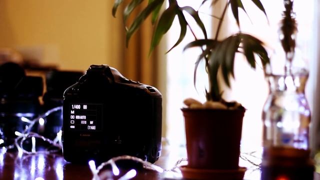 Canon 1D Mark IV in 2022: Cinematic Preview смотреть онлайн
