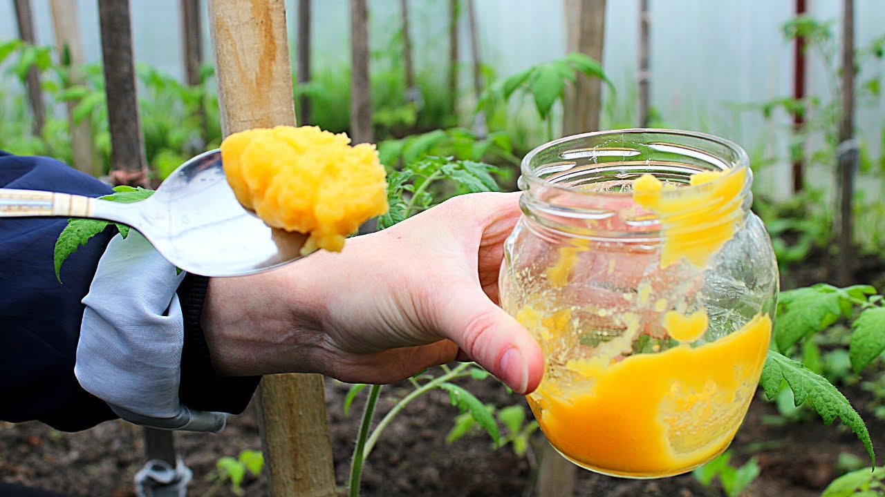 Муравьи_ Вы Забудете о них Навсегда!!! Самодельное Копеечное средство. смотреть онлайн