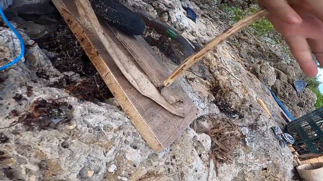 【無人島】食料なし！過酷な環境でガチサバイバル♯２(漁師の技) смотреть онлайн