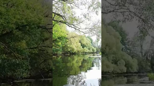 Сплав на пакрафтах от первого лица. смотреть онлайн