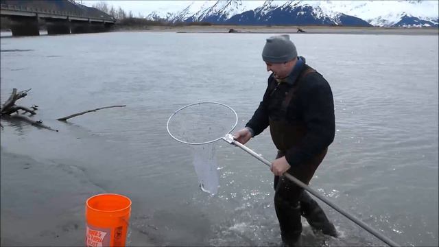 Как мы ловили Hooligan / Хулигана. Hooligan Fishing In Alaska. Рыба - Хулиган или Рыба - Свеча