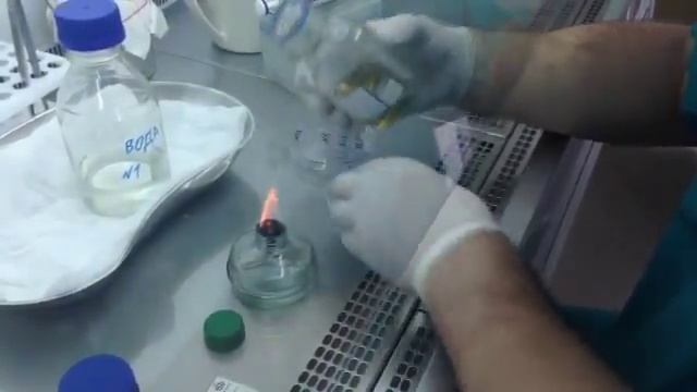 Исследование пробы питьевой воды на общее микробное число (ОМЧ) смотреть онлайн