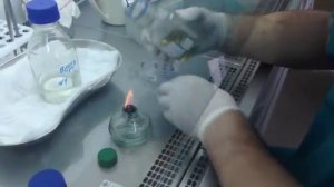 Исследование пробы питьевой воды на общее микробное число (ОМЧ)