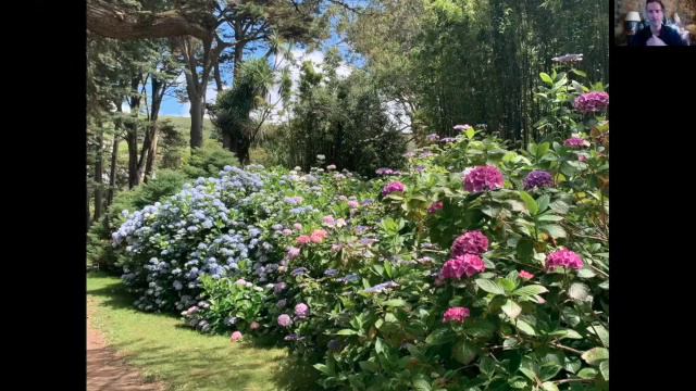 FHS at Home : Visit of Botanic Garden of Vauville ( interview in French! ) смотреть онлайн