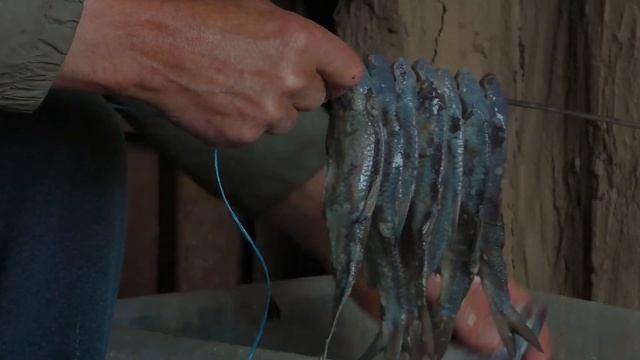 Как мы в Астрахани леща с воблой солили! смотреть онлайн