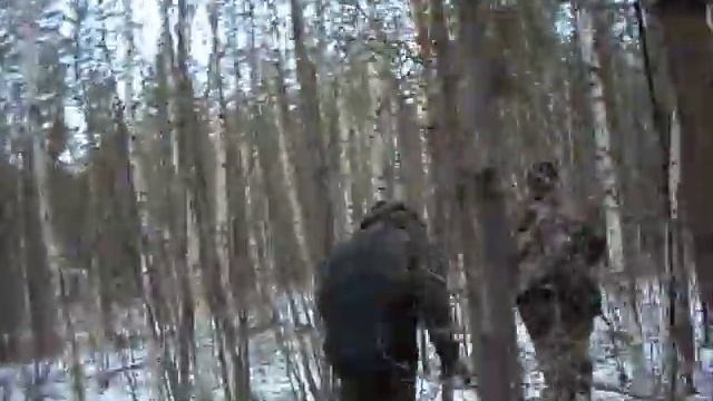 Обход делянки. смотреть онлайн