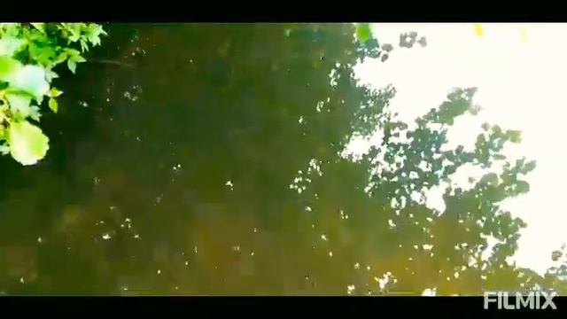 Озеро Холерное, рыбалка, отдых, Бузулукский бор. смотреть онлайн