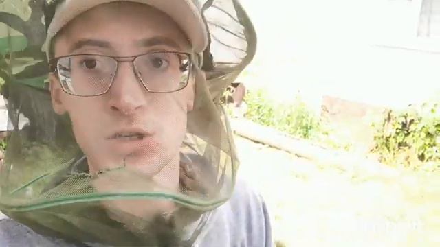 Как правильно ухаживать за огородом и чем удобрять