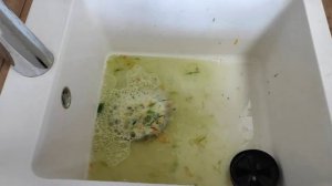 Устраняем засор измельчителя пищевых отходов