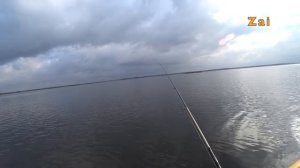 Тест ТВИЧЕВОГО спиннинга Norstream SKALD New.