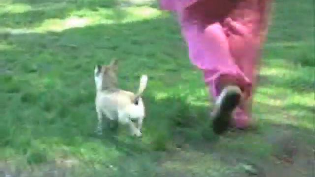Nats-chihi-2011-10.wmv смотреть онлайн