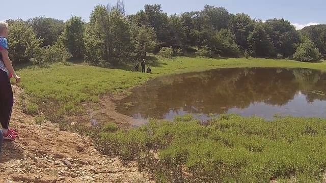 Кутузовское озеро Крым Ловим тритонов смотреть онлайн