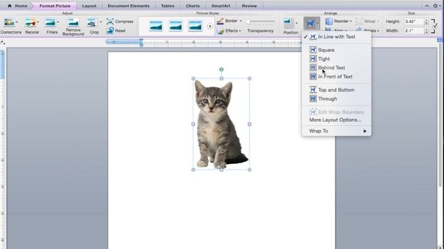 Place Text Over an Image in Word смотреть онлайн