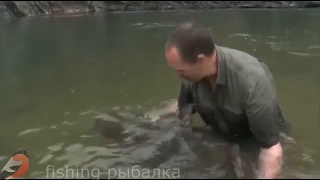 Вот это самая крупная доисторическая рыба в мире была поймана на спиннинг смотреть онлайн