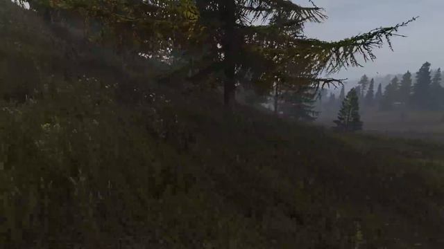 УЧУ МОНОЛИТ НОВЫМ СЛОВАМ в DayZ [ Stalker RP ] смотреть онлайн