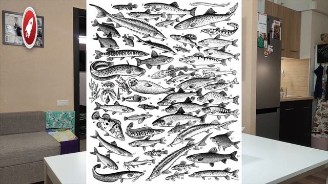 Курс на толерантность. Беседа: «Широка страна моя родная» смотреть онлайн