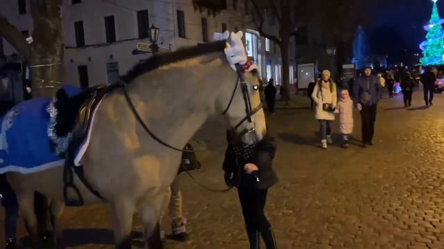 #Ukraine, Odessa/ Рождественская Дерибасовская/07.01.2023г. 🇺🇦 смотреть онлайн