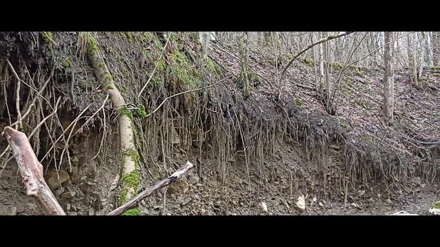 КРЫМСКИЙ ЛЕС И РЕКИ... смотреть онлайн