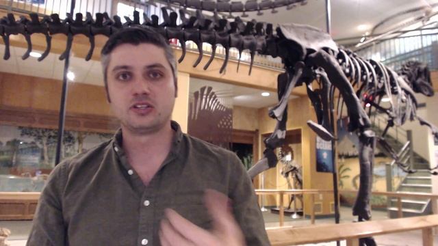 Can sloths serve as “canaries in the coal mine” for forest health today and in the past? смотреть онлайн