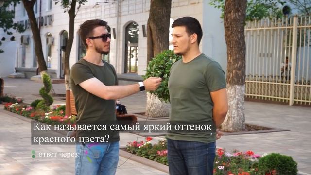 Чеченцы отвечают на вопросы | 16 выпуск смотреть онлайн