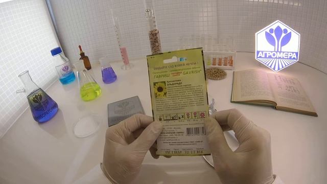 Хризантема Эльдарадо. Гавриш смотреть онлайн