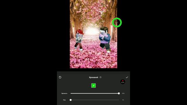 КАК СДЕЛАТЬ ИЗ ЗЕЛЁНОГО ФОНА КРАСИВЫЙ ФОН В Inshot!? Ответ тут! @Kils_Roblox_King